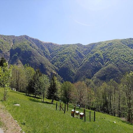 Ostello Valgrande Cicogna Exterior photo