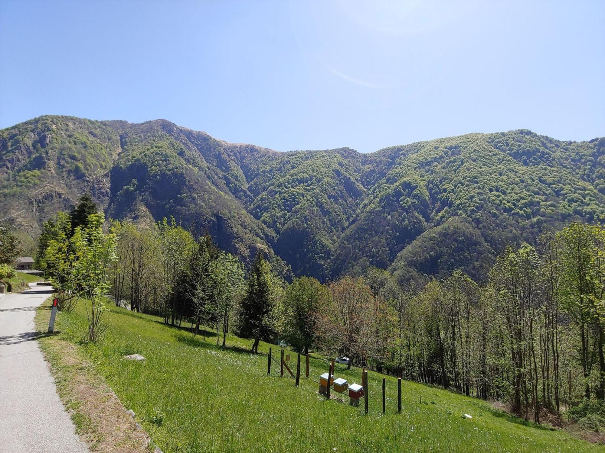 Ostello Valgrande Cicogna Exterior photo